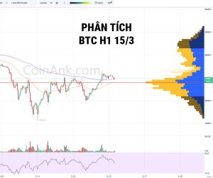 Phân tích giá Bitcoin ( BTC) – Khung 1H 15/3