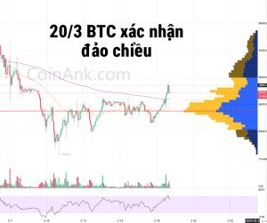 Phân tích Bitcoin 20/3 dấu hiệu đảo chiều tăng