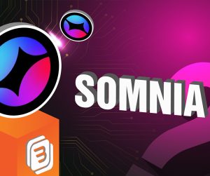 Chơi Game – Làm Nhiệm Vụ – Nhận Airdrop: Cập Nhật Mới Từ Somnia